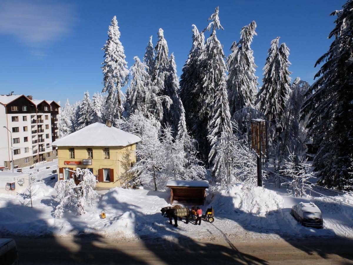 Borovets Apartment, Villa Park Buitenkant foto