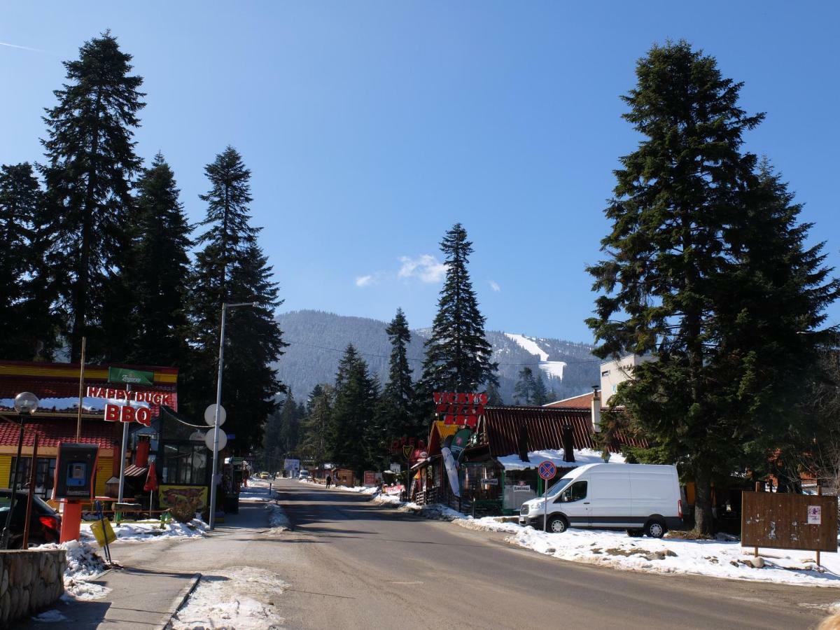 Borovets Apartment, Villa Park Buitenkant foto